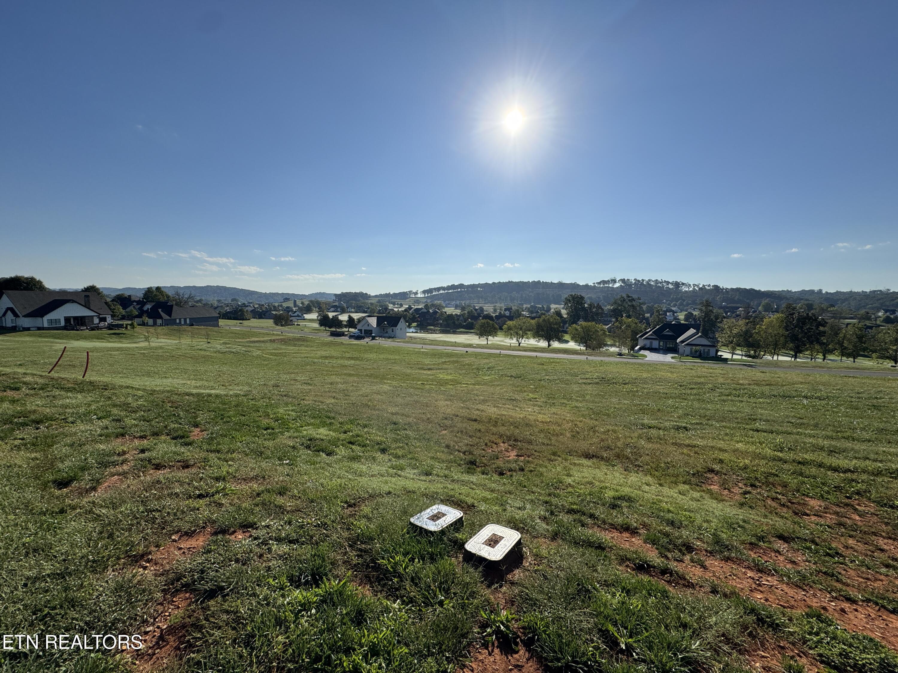 417 Ladybug Lane Loudon, TN 37774 - Photo 3 of 35 IMG_6797