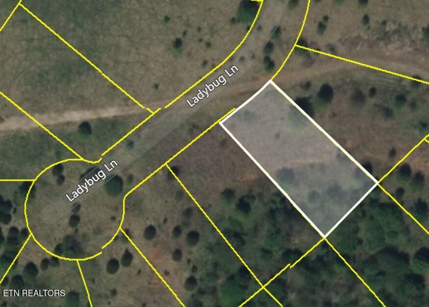 417 Ladybug Lane Loudon, TN 37774 - Photo 4 of 35 Satellite close-up