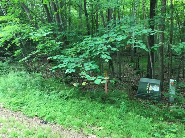 $69,900 | 6.47-acres Thumper Drive, Ringle, WI 54471