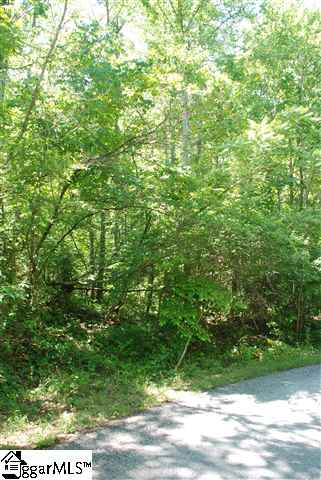 Farm #17 Farm Road Gray Court, SC 29645 - Photo 1 of 1