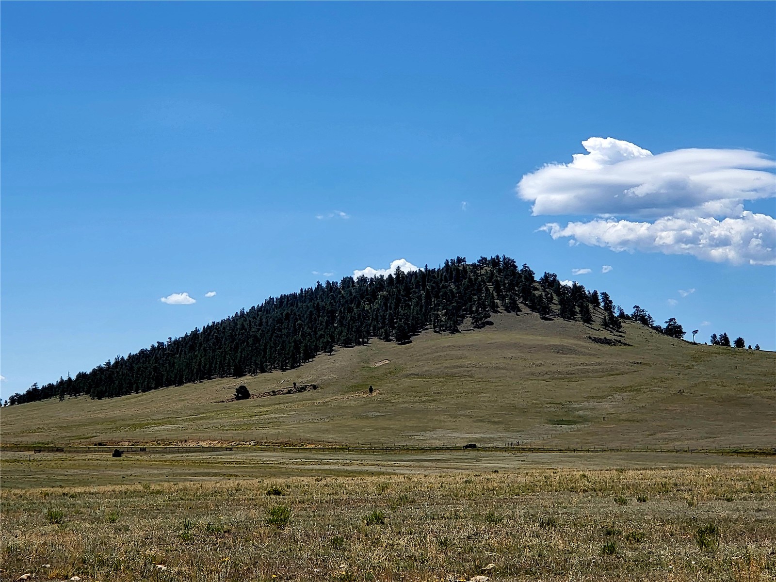 0 Rio Blanco Road Hartsel, CO 80449 - Photo 7 of 9 Gallery Image 7