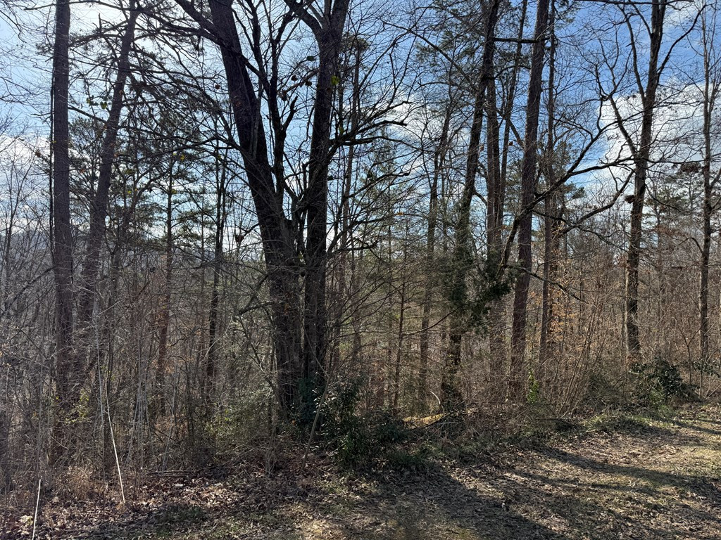 0 Sunrise Street Murphy, NC 28906 - Photo 2 of 5
