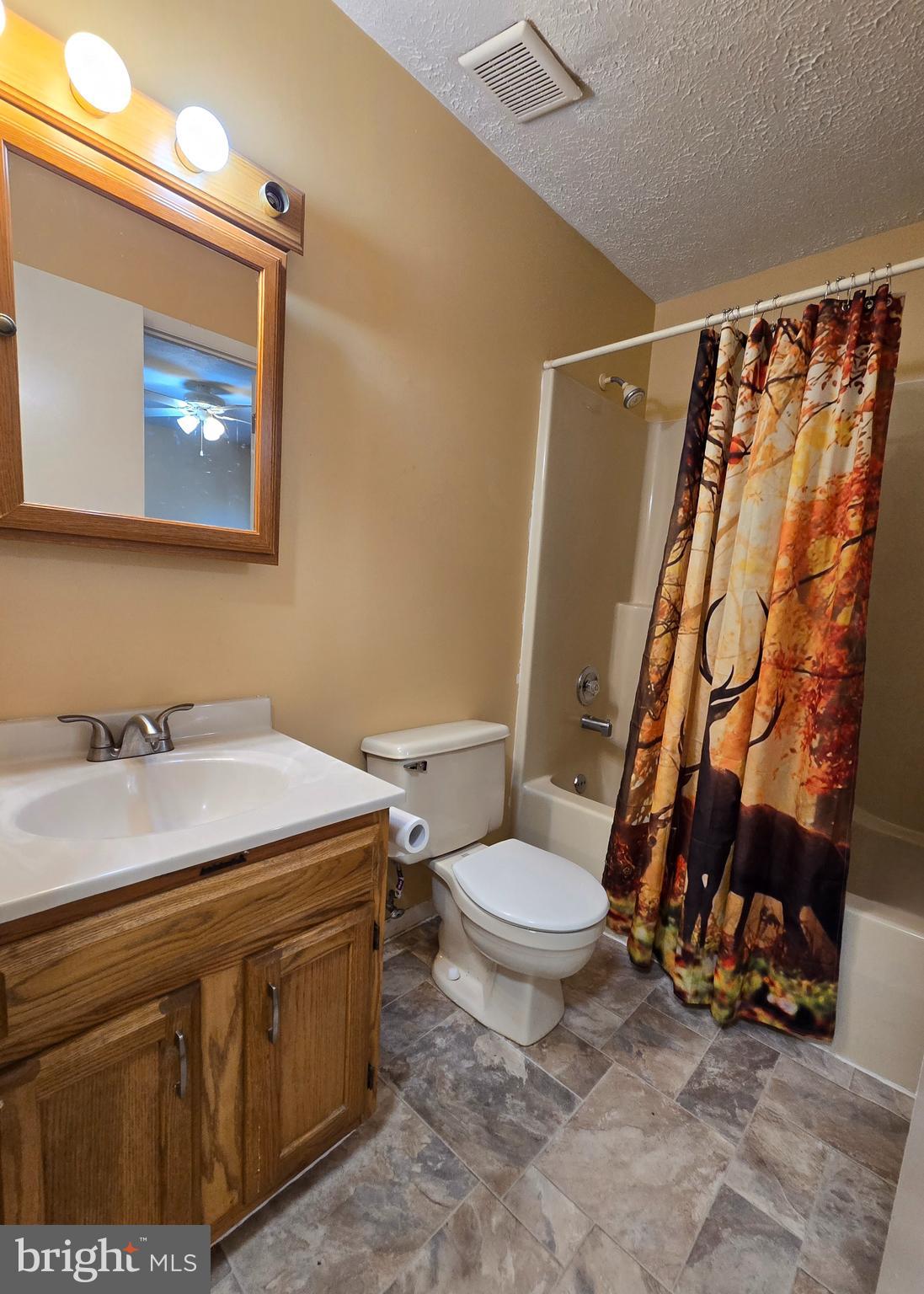 668 209th Street Pasadena, MD 21122 - Photo 5 of 37