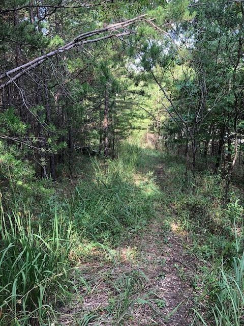 940 Beech Fork Road Clay City, KY 40312 - Photo 12 of 18 Photo 12