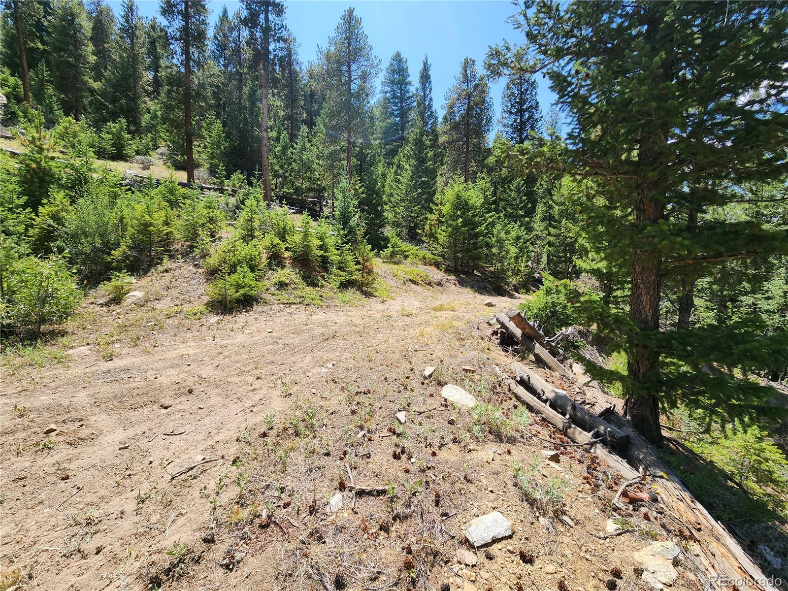 256 Capital Road Dumont, CO 80436 - Photo 20 of 50