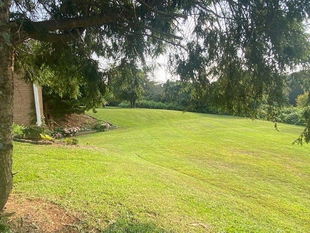 100 West Sizemore Road Seneca, SC 29672 - Photo 2 of 20 Gallery Image 2