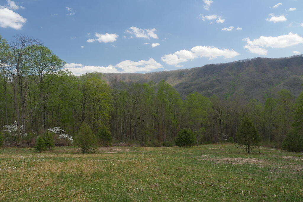 4020 Freestone Valley Road Tannersville, VA 24377 - Photo 82 of 109 Gallery Image 82