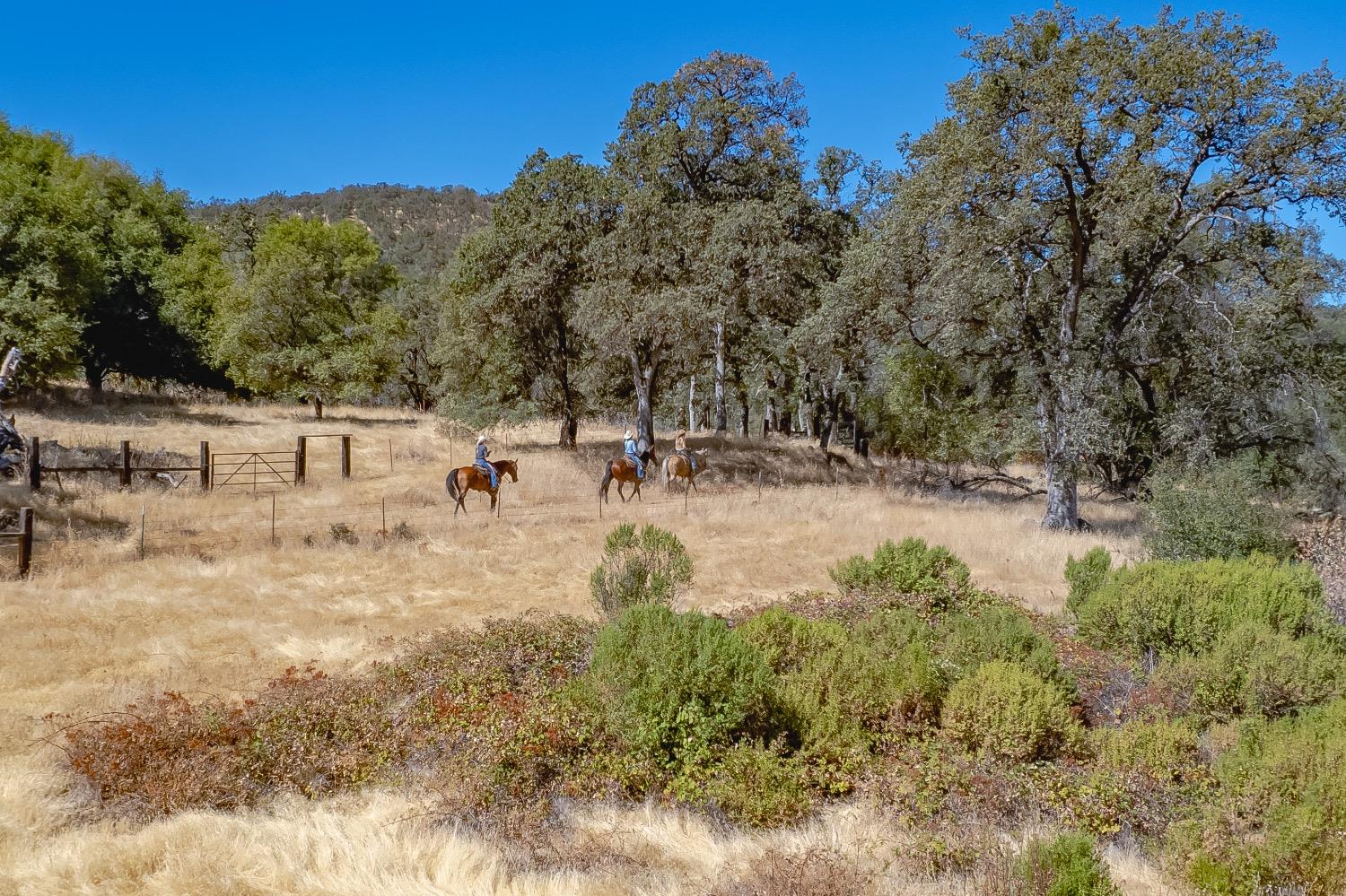 27044 McCourtney Road Grass Valley, CA 95949 - Photo 69 of 74