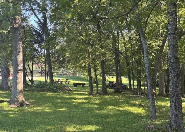 115 Main Street Pikeville, TN 37367 - Photo 58 of 76 20250702163545425299000000-o