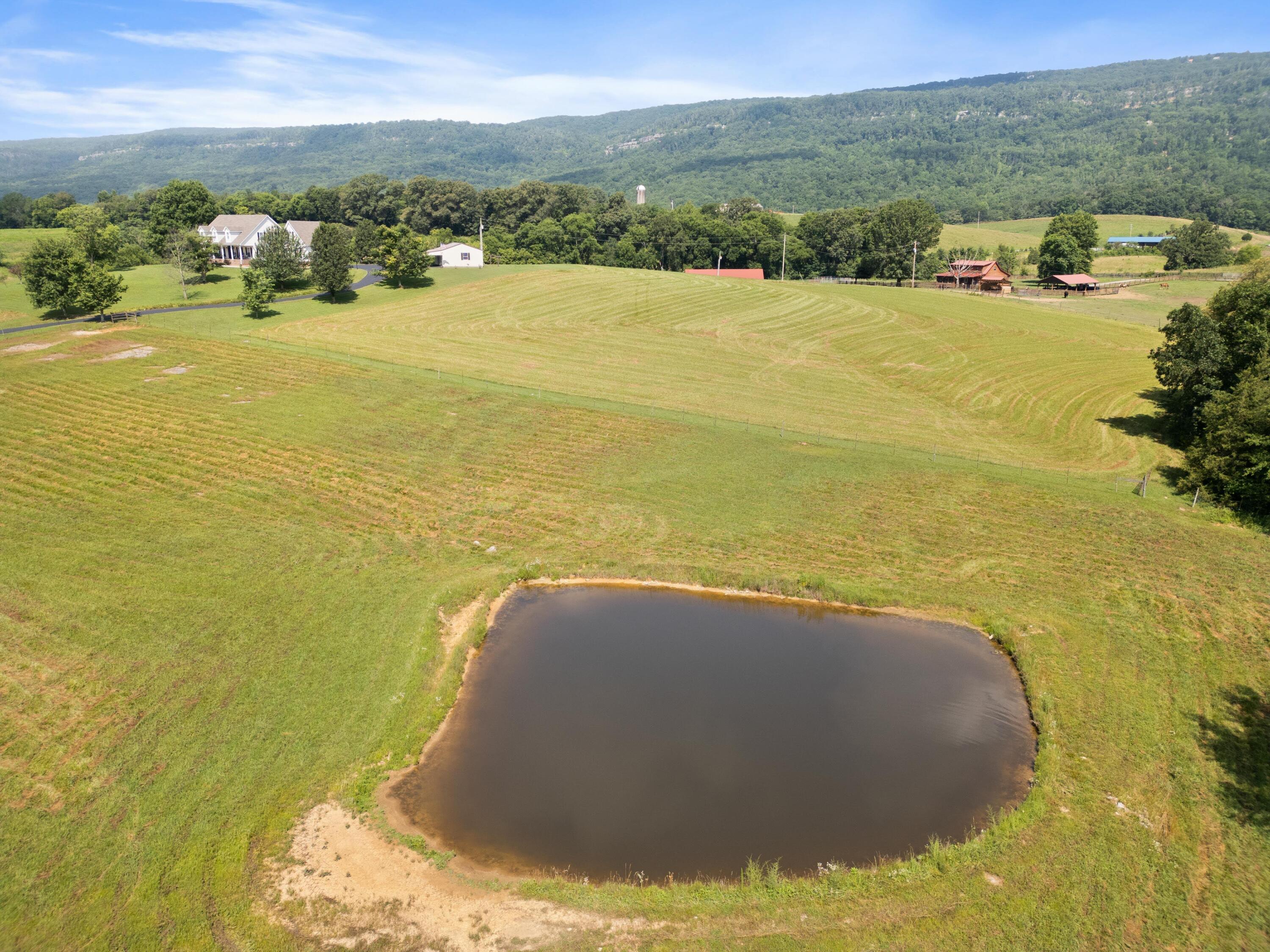 115 Main Street Pikeville, TN 37367 - Photo 60 of 76 DJI_0715