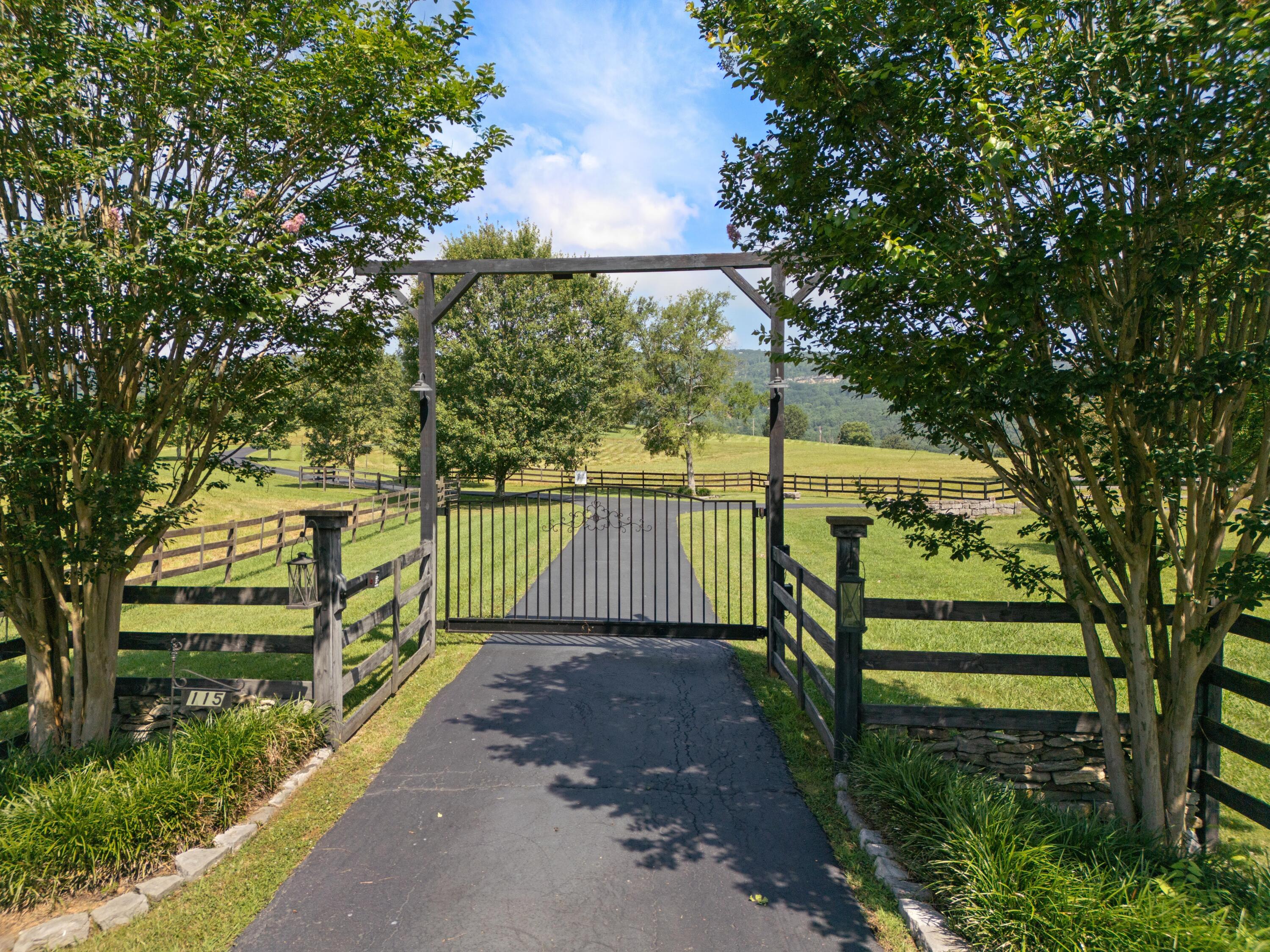 115 Main Street Pikeville, TN 37367 - Photo 62 of 76 DJI_0736 (1)