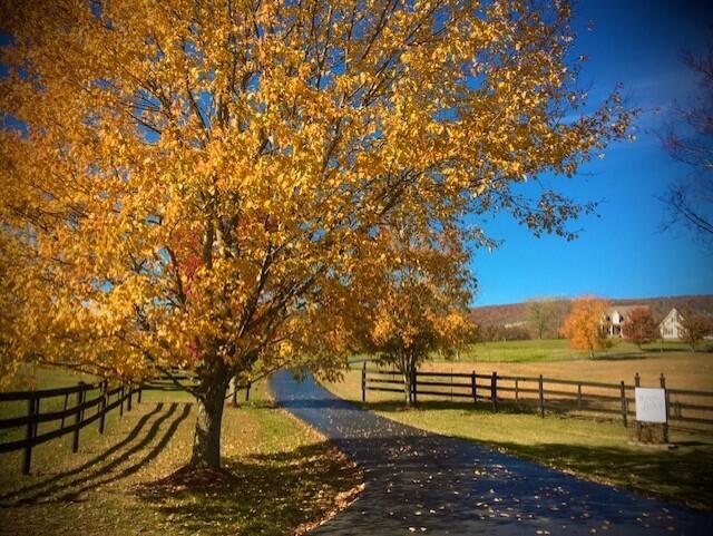 115 Main Street Pikeville, TN 37367 - Photo 64 of 76 ROBERSON PIC 1