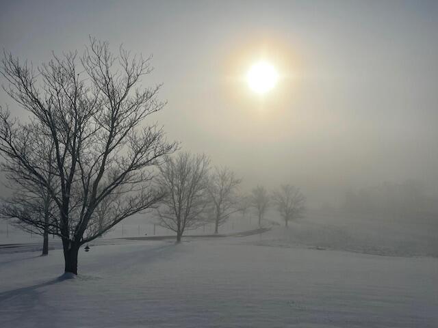 115 Main Street Pikeville, TN 37367 - Photo 67 of 76 Roberson pic 14