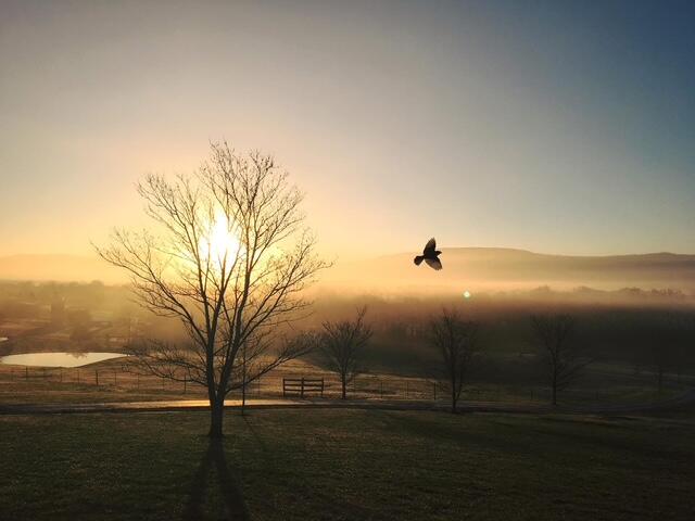 115 Main Street Pikeville, TN 37367 - Photo 68 of 76 Roberson PIC 12