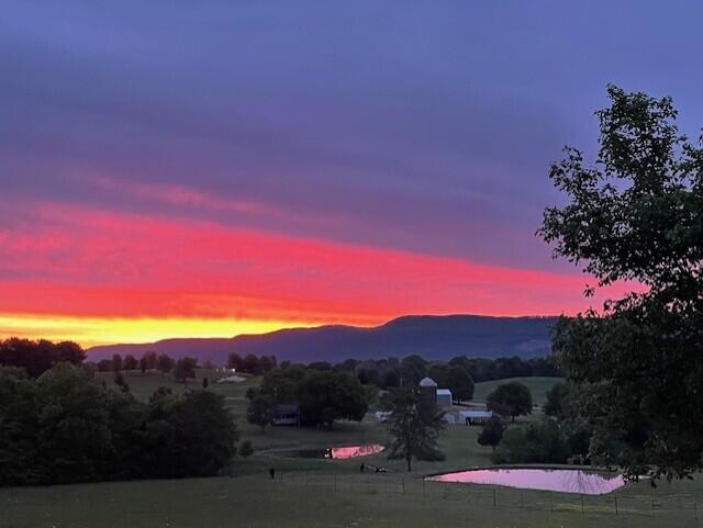 115 Main Street Pikeville, TN 37367 - Photo 70 of 76 Roberson PIC 10