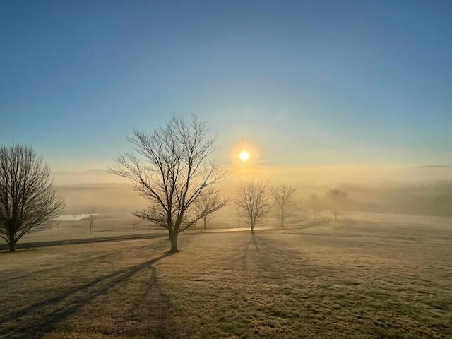 115 Main Street Pikeville, TN 37367 - Photo 71 of 76 Roberson PIC 9