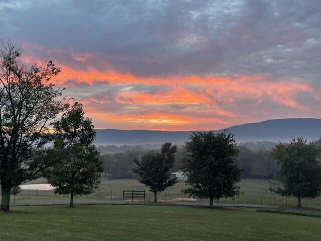 115 Main Street Pikeville, TN 37367 - Photo 73 of 76 Roberson PIC 6