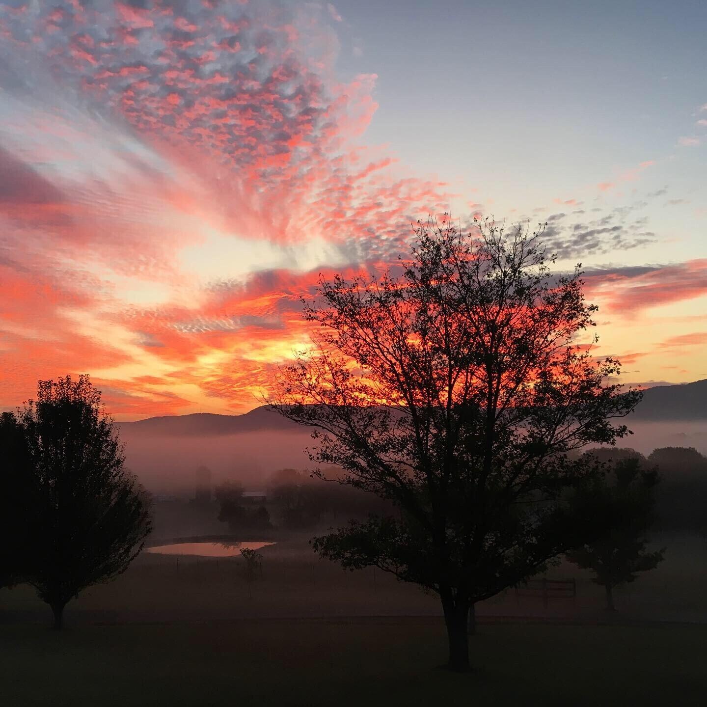 115 Main Street Pikeville, TN 37367 - Photo 74 of 76 ROBERSON PIC 5