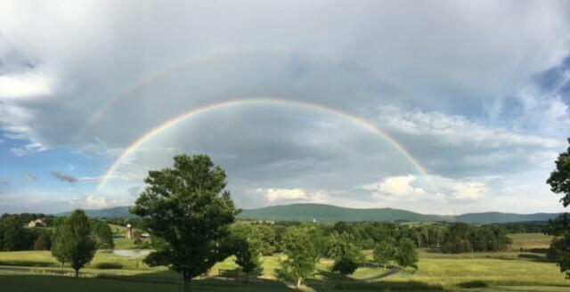 115 Main Street Pikeville, TN 37367 - Photo 75 of 76 ROBERSON PIC 3