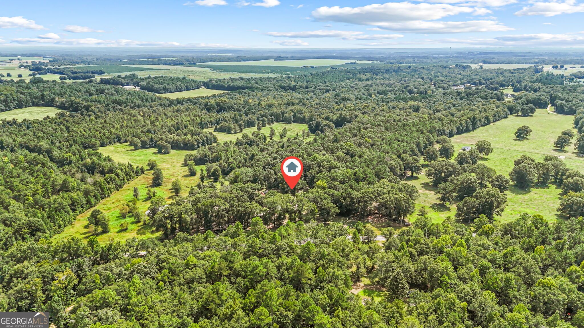 1010 Frank Cook Road Cochran, GA 31014 - Photo 81 of 81 Gallery Image 81