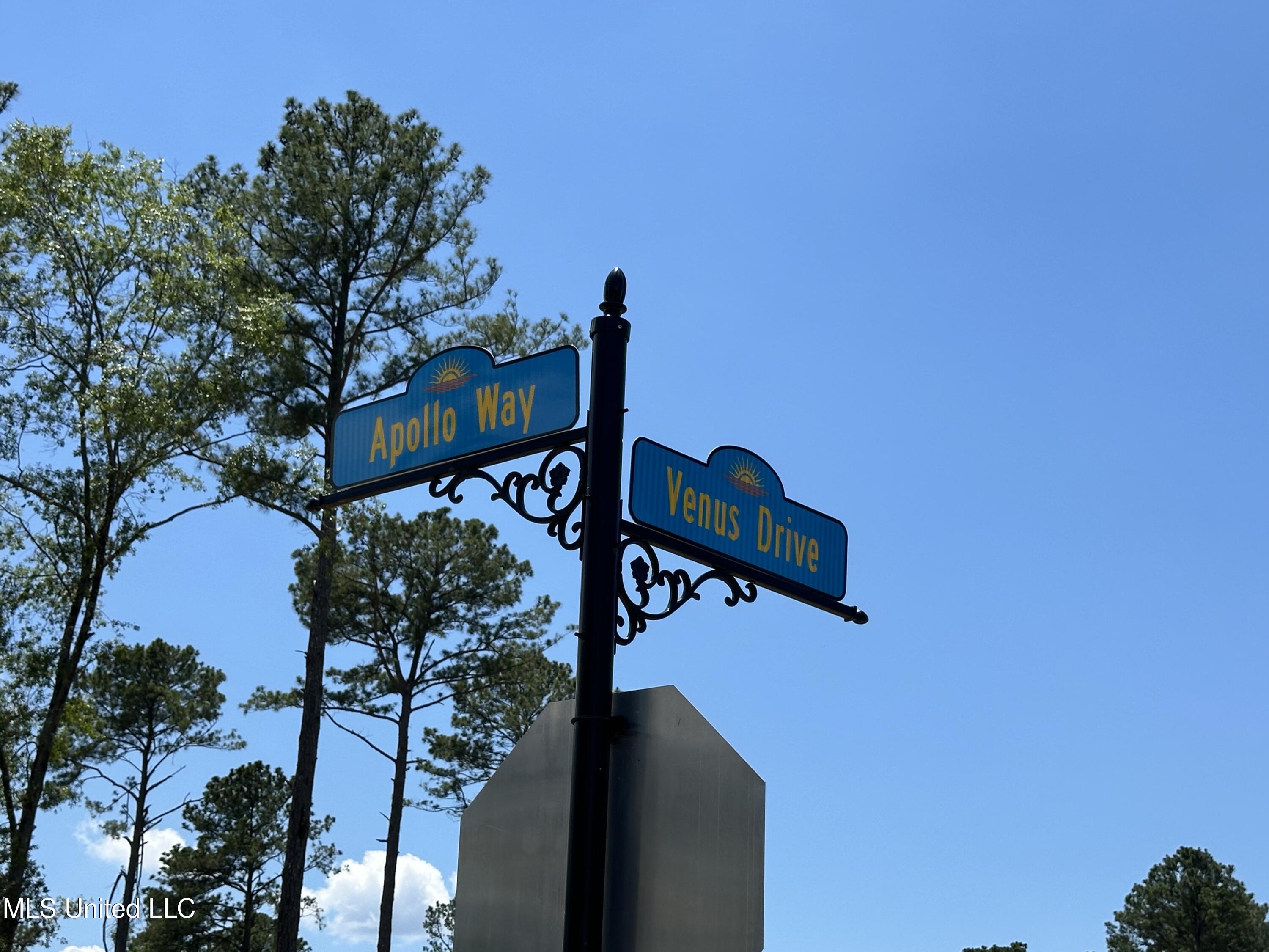 109 Venus Drive Canton, MS 39046 - Photo 4 of 10 Expedition Point Apollo and Venus Sign