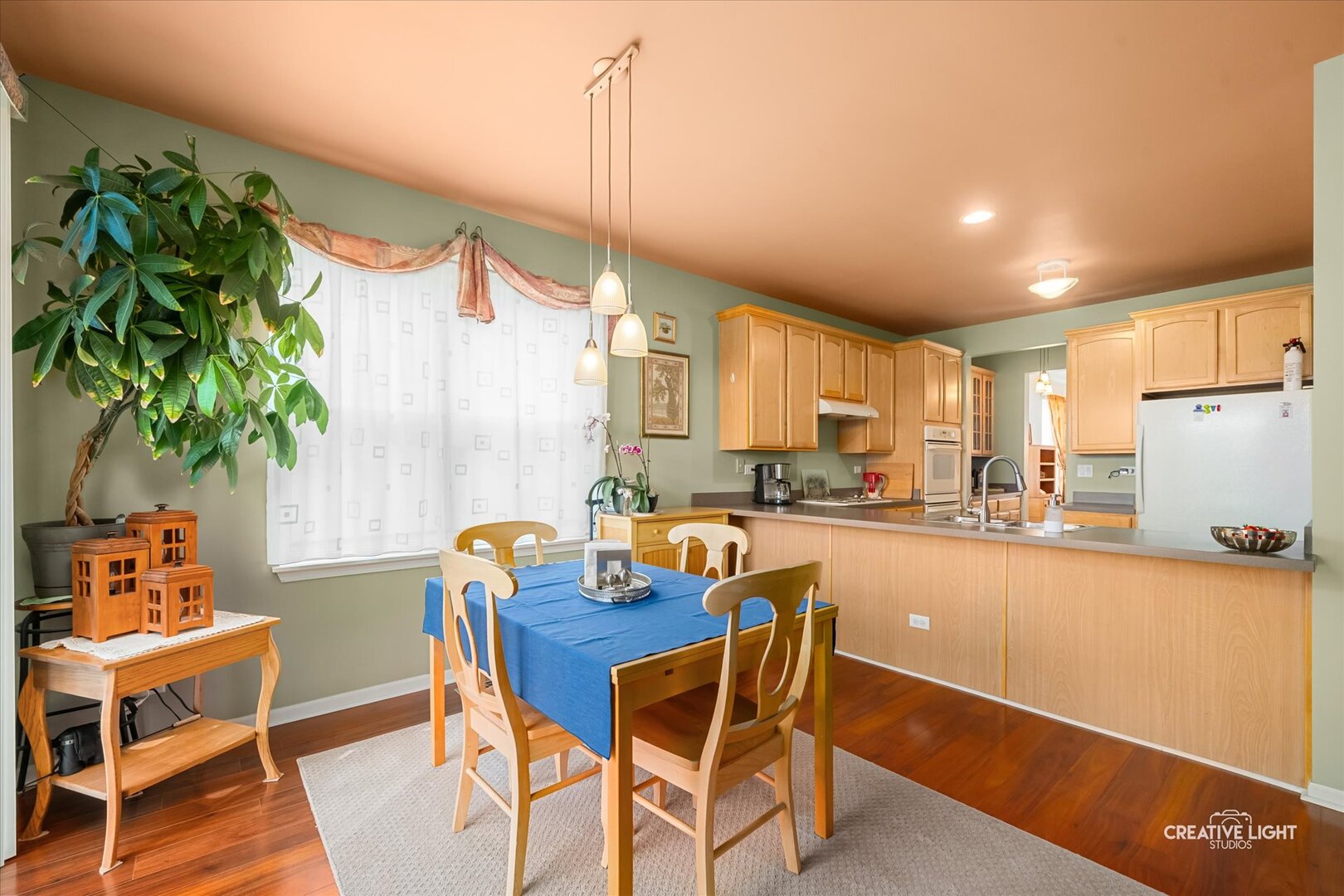 577 Cardinal Avenue Oswego, IL 60543 - Photo 8 of 26