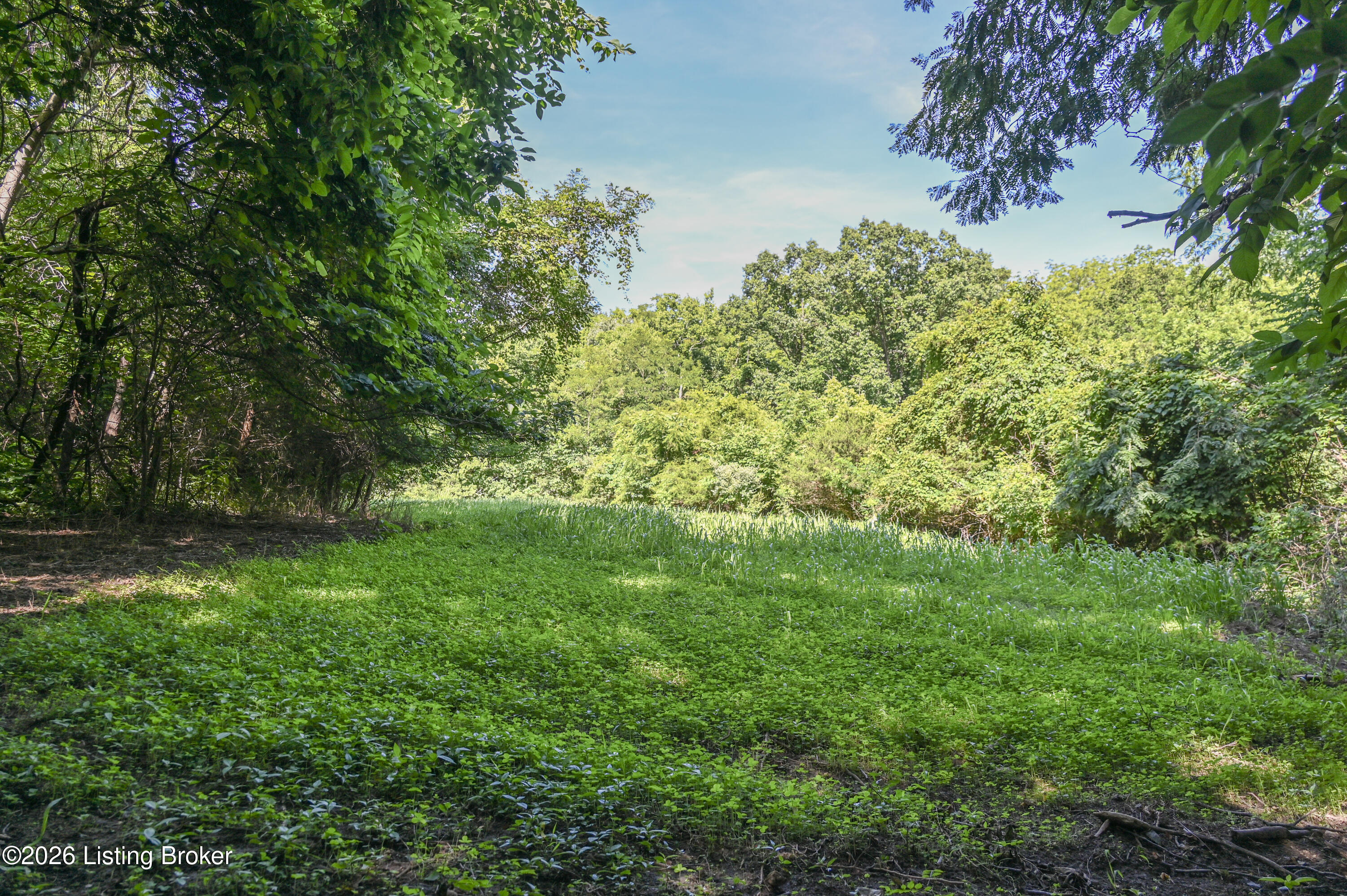 167 Price Road Bethlehem, KY 40007 - Photo 30 of 84 7-DSC_1915