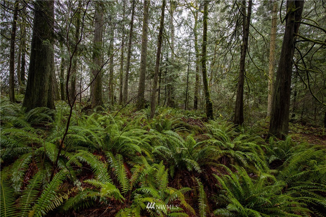 8 Sandy Hook Road Northeast Poulsbo, WA 98370 - Photo 5 of 11 Gallery Image 5