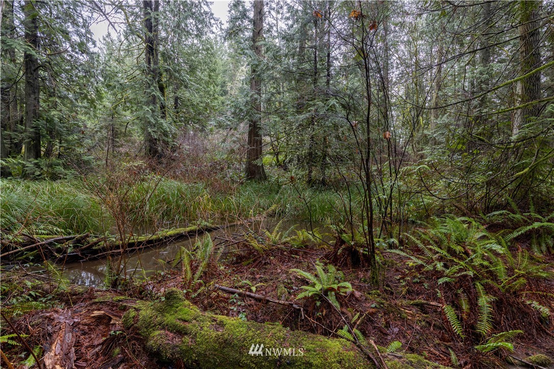 8 Sandy Hook Road Northeast Poulsbo, WA 98370 - Photo 7 of 11 Gallery Image 7
