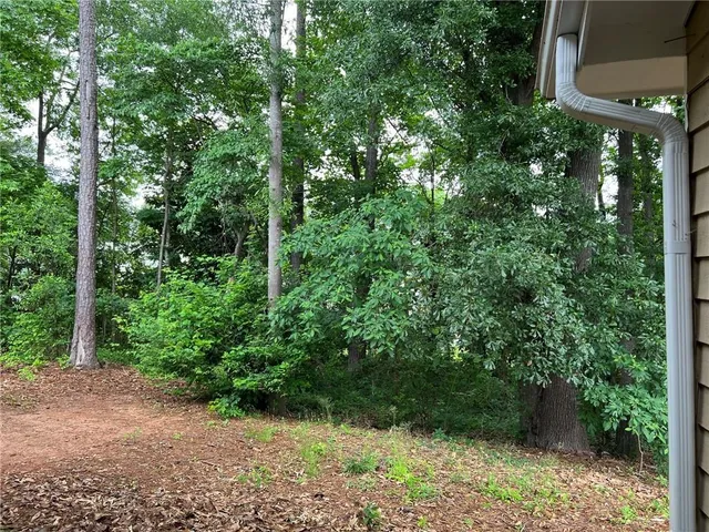 a view of a garden with plants