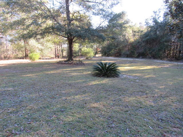 7450 Old River Road Baker, FL 32531 - Photo 20 of 26 a view of backyard with green space