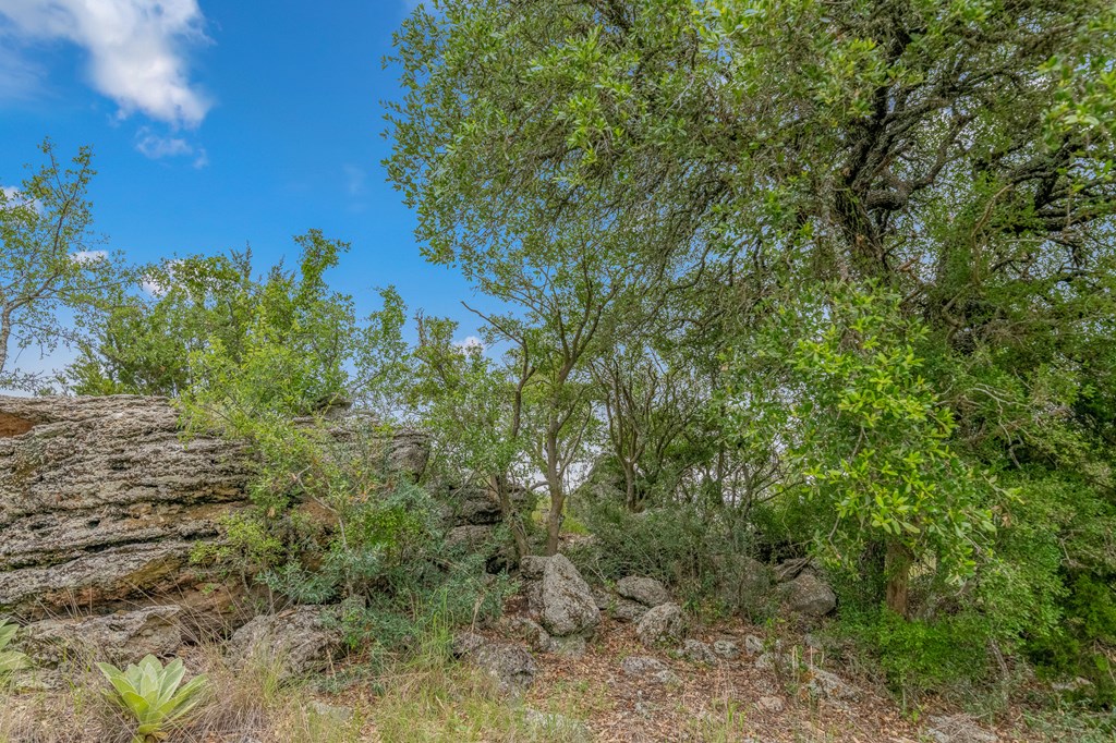 41 Rocksprings Tx 78880 Rocksprings, TX 78880 - Photo 31 of 62