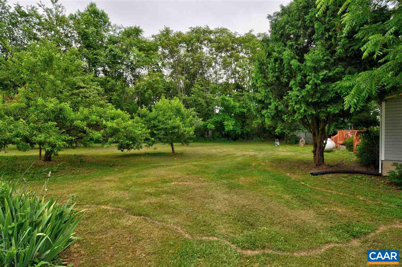 1728 Ridge Road Raphine, VA 24472 - Photo 24 of 34 a view of a field with a tree