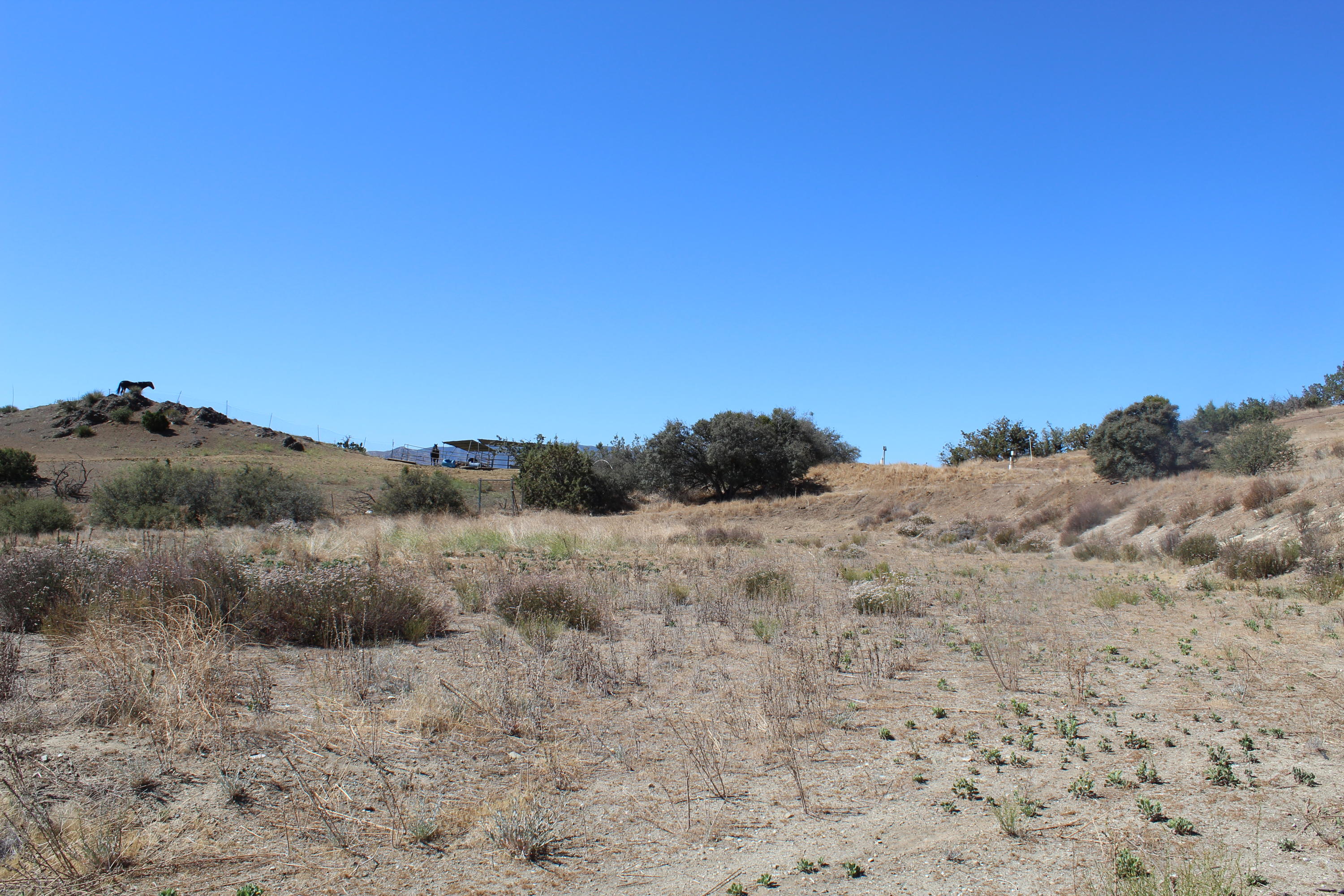 Morgan Road Santa Clarita, CA 91390 - Photo 16 of 20 IMG_0262