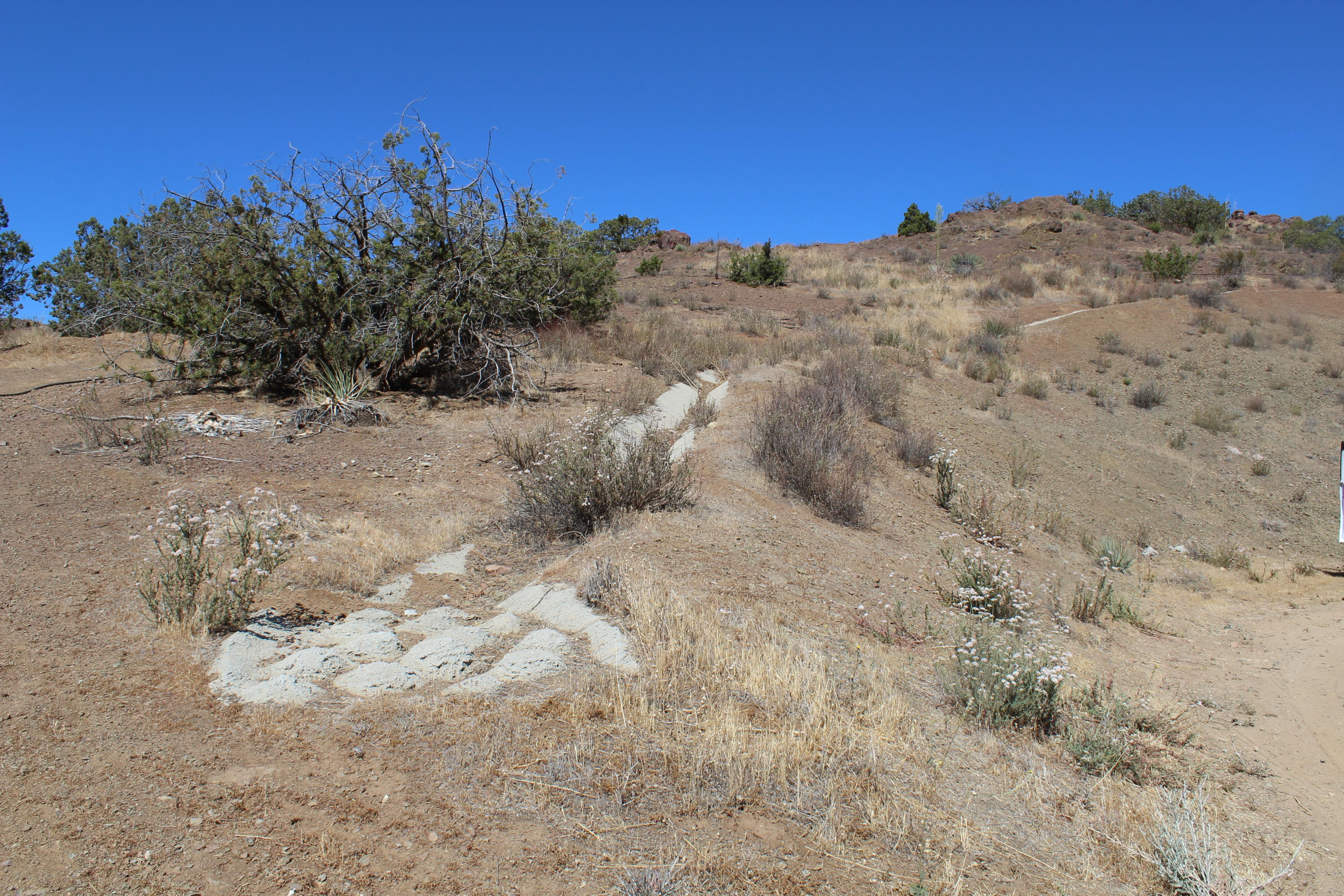 Morgan Road Santa Clarita, CA 91390 - Photo 9 of 20 IMG_0250