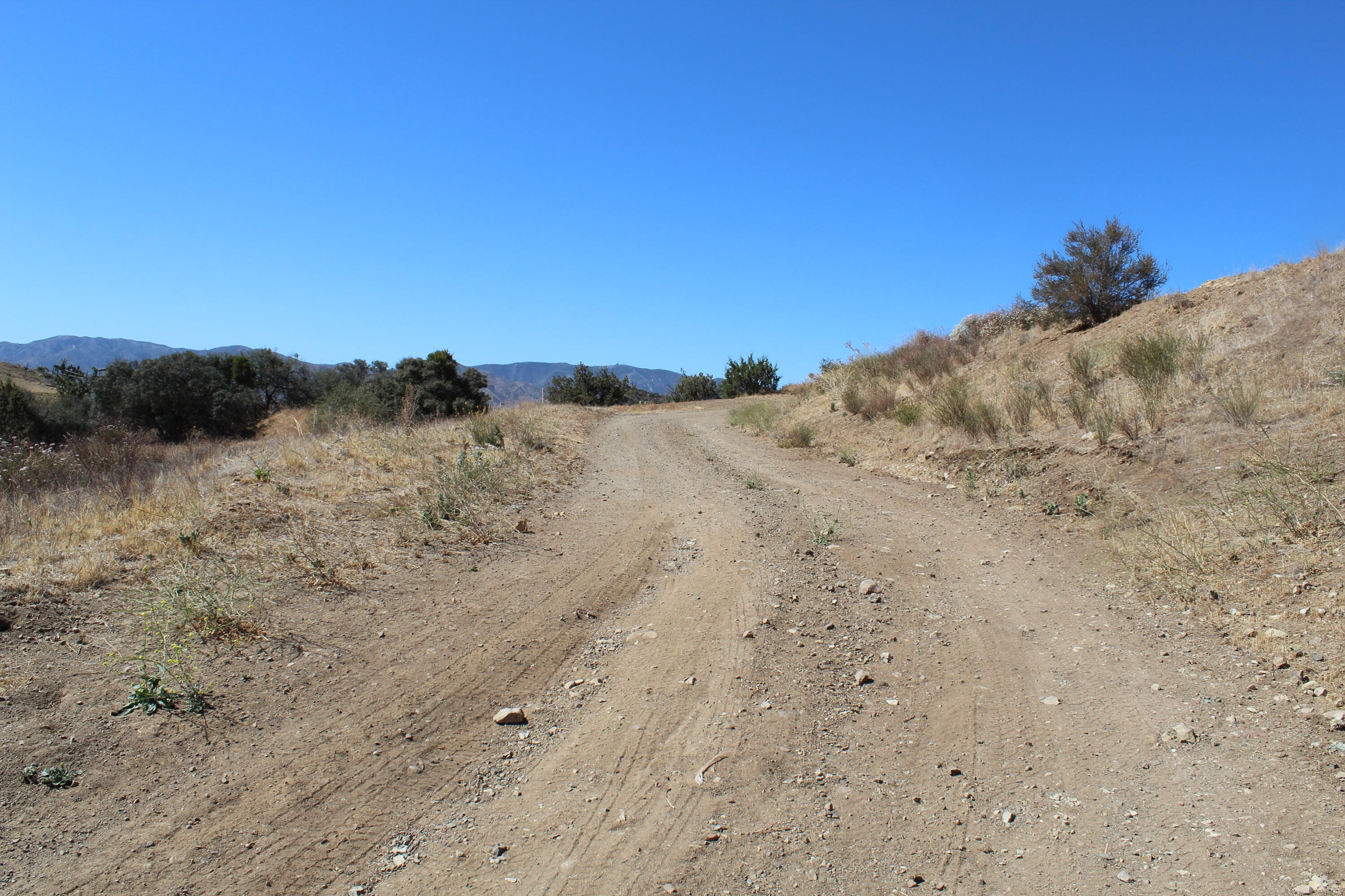 Morgan Road Santa Clarita, CA 91390 - Photo 10 of 20 IMG_0256