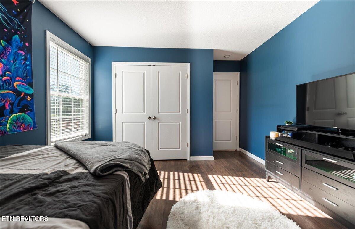 137 Raccoon Valley Road Maynardville, TN 37807 - Photo 31 of 48 28-DSC_8753-HDR