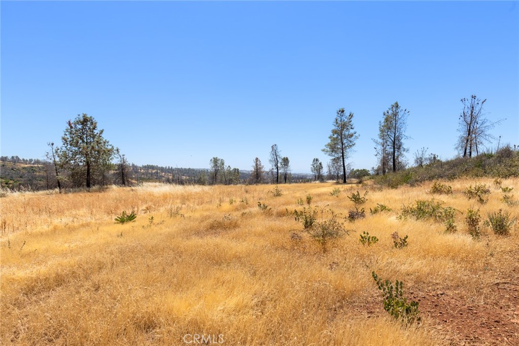 1 Cohasset Road Chico, CA 95973 - Photo 13 of 32 a view of yard covered with snow