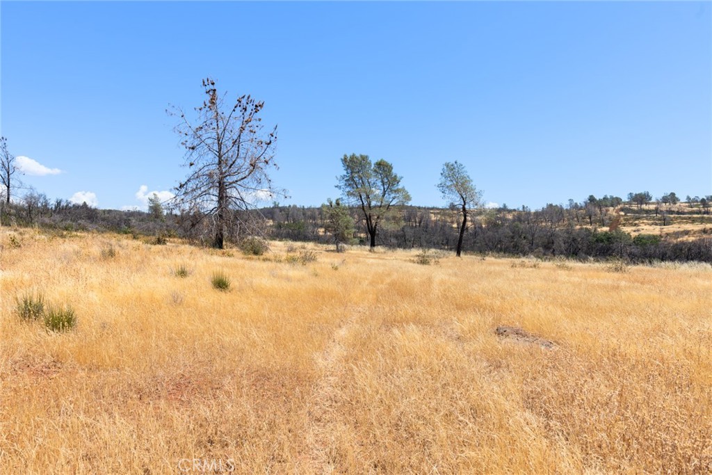 1 Cohasset Road Chico, CA 95973 - Photo 14 of 32 a view of a yard with a of lake view