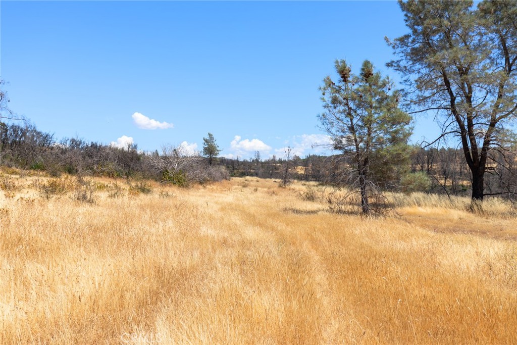 1 Cohasset Road Chico, CA 95973 - Photo 15 of 32 a view of snow covered with snow