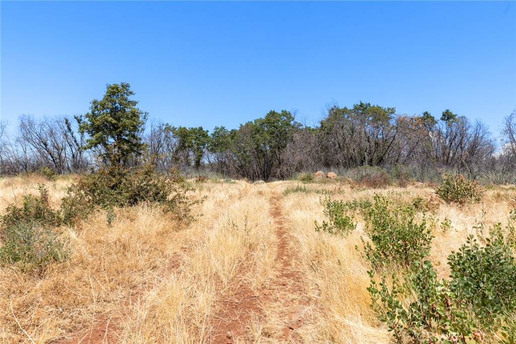 1 Cohasset Road Chico, CA 95973 - Photo 19 of 32 a view of snow covered with fog