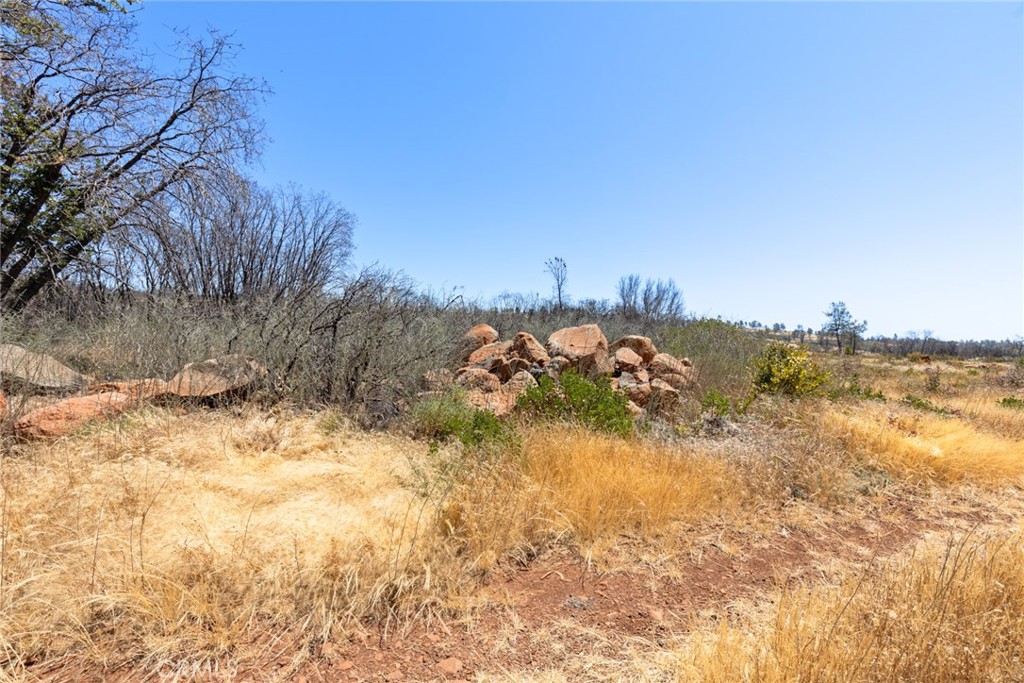 1 Cohasset Road Chico, CA 95973 - Photo 20 of 32 a view of a yard with a tree