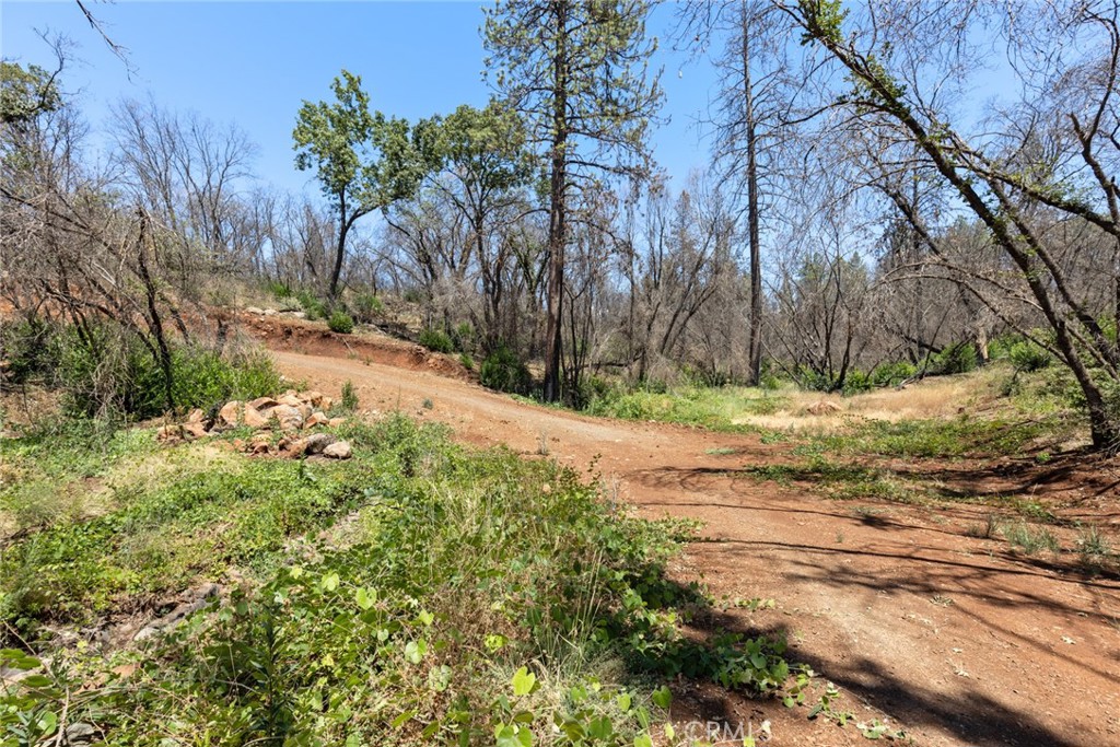 1 Cohasset Road Chico, CA 95973 - Photo 21 of 32 a view of a yard with a tree
