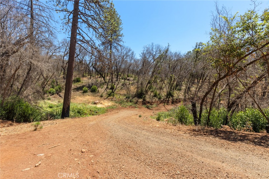 1 Cohasset Road Chico, CA 95973 - Photo 23 of 32 a view of dirt yard and a large tree