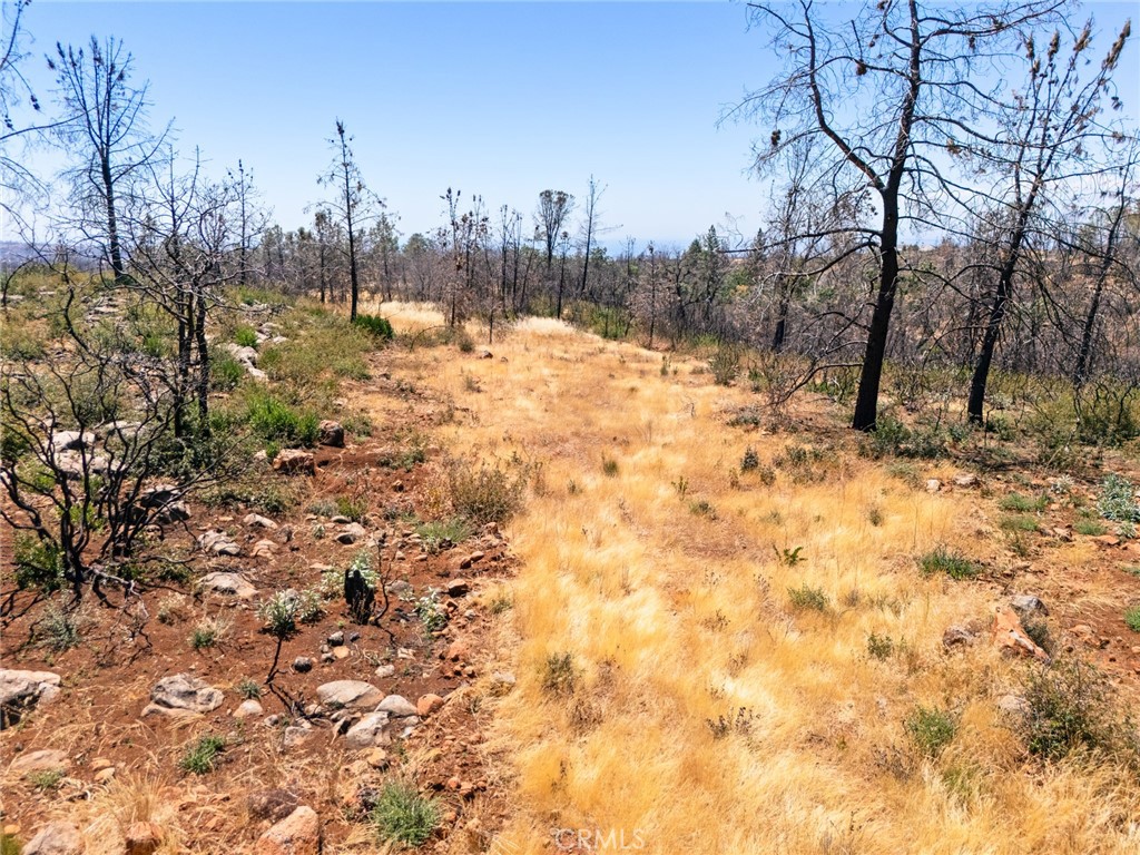 1 Cohasset Road Chico, CA 95973 - Photo 26 of 32 a view of a snow in between of two trees