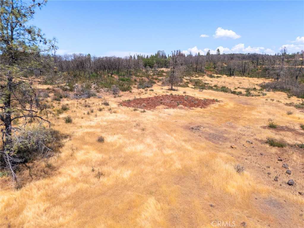 1 Cohasset Road Chico, CA 95973 - Photo 30 of 32 a view of a yard of the snow