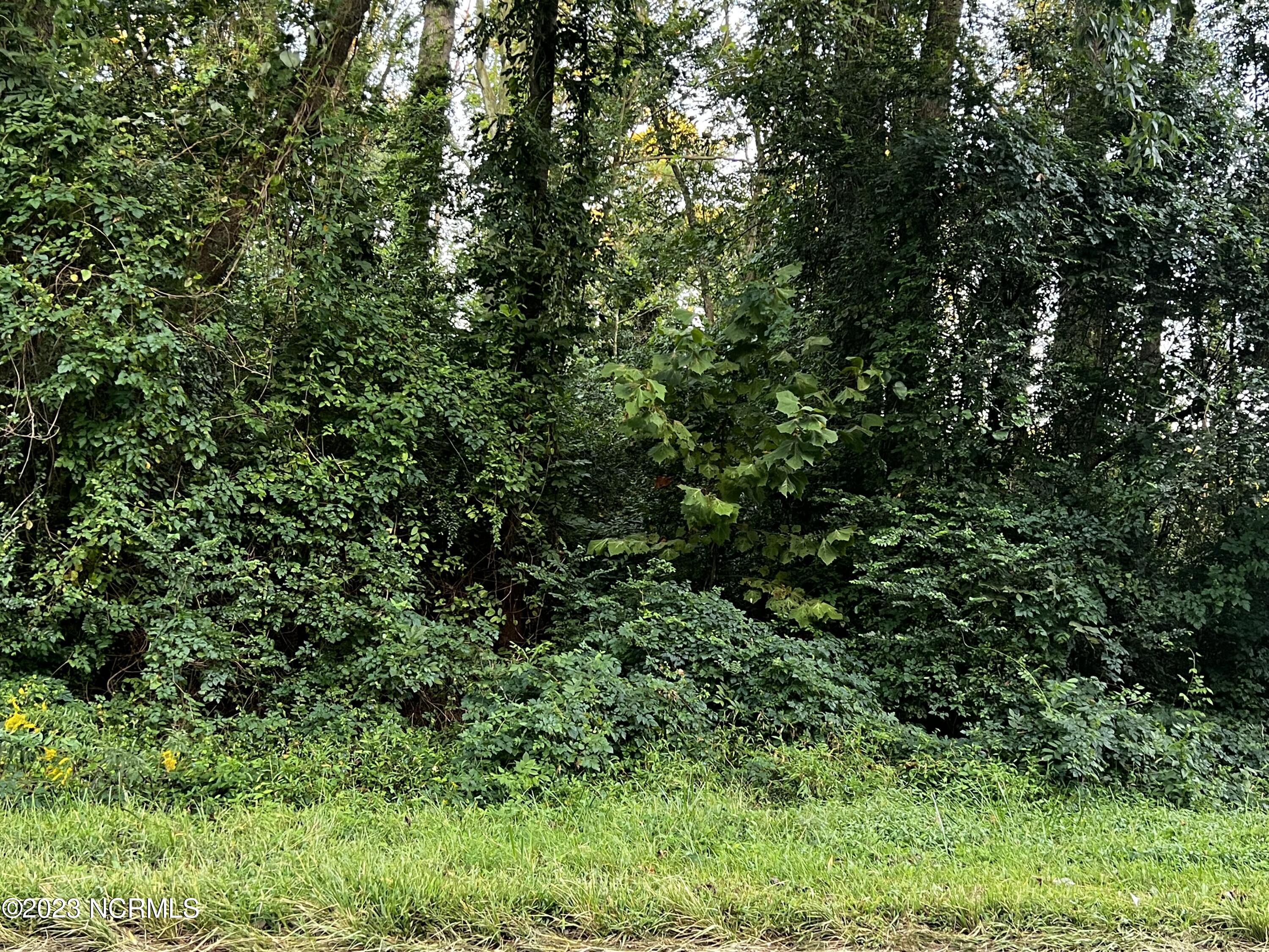 Tbd Juniper Road Faison, NC 28341 - Photo 2 of 10 IMG_8564