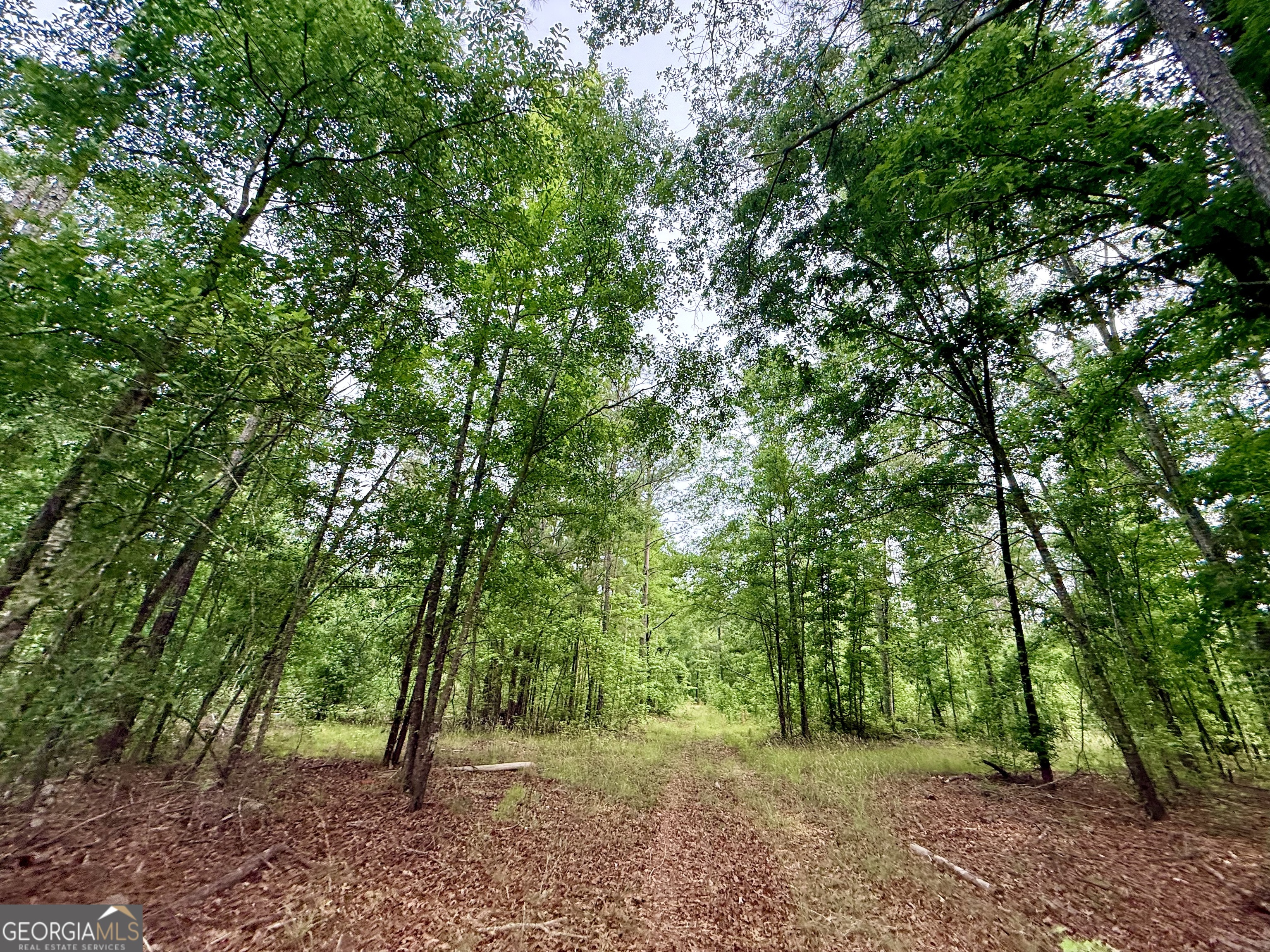 715 Fulsome Creek Road Sparta, GA 31087 - Photo 67 of 117