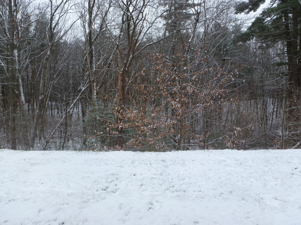 83 Dudley Road, Unit 83 Berlin, MA 01503 - Photo 23 of 23
