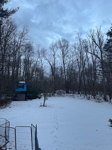 212 Arnold Road Sturbridge, MA 01518 - Photo 18 of 21 a ground with lots of tall trees